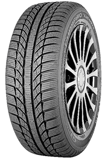 CHAMPIRO WINTERPRO HP 255