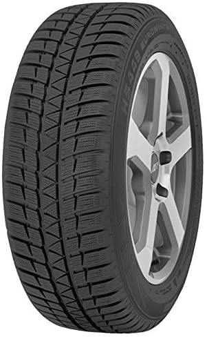 EUROWINTER HS449 RUN FLAT 205